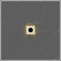 This is the view through your barrel.